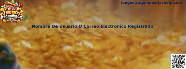 Guía para verificar el nombre de usuario o correo electrónico registrado en Juegos Tragamonedas