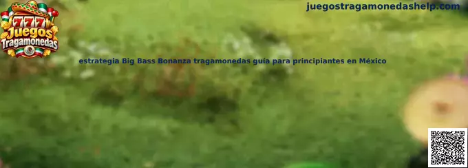 Guía de estrategia Big Bass Bonanza tragamonedas para principiantes en México